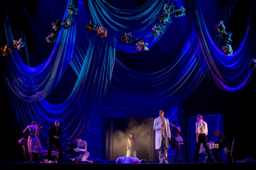 https://s7d9.scene7.com/is/image/RoseBrand/MBallet Dorian Gray - Voile 3 - Nathaniel Davauer